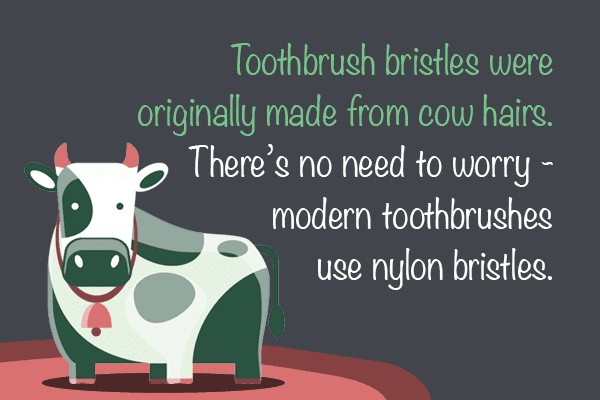 Fun facts about toothbrush #2: Toothbrush bristles were originally made from cow hairs. There’s no need to worry - modern toothbrushes use nylon bristles.