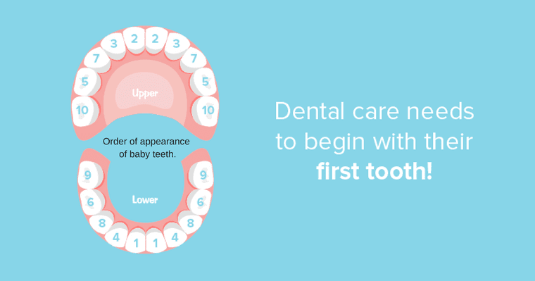 Baby teeth infographic that reads "dental care needs to begin with their first tooth."